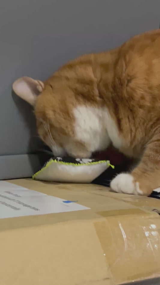 Fabric and Felt Cushion Cat Toys